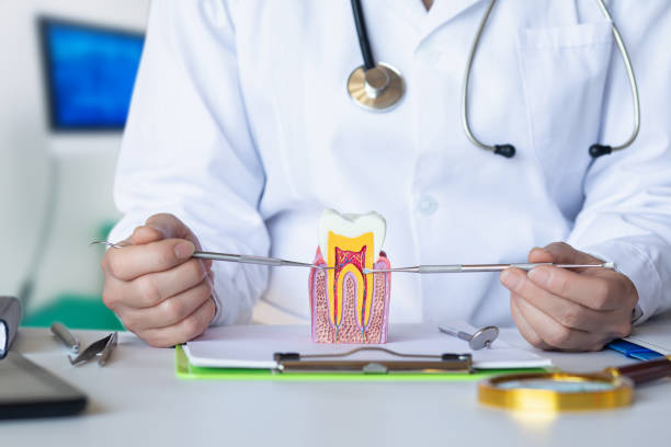 Best Emergency Dental Services for Seniors in Lake Monticello, VA